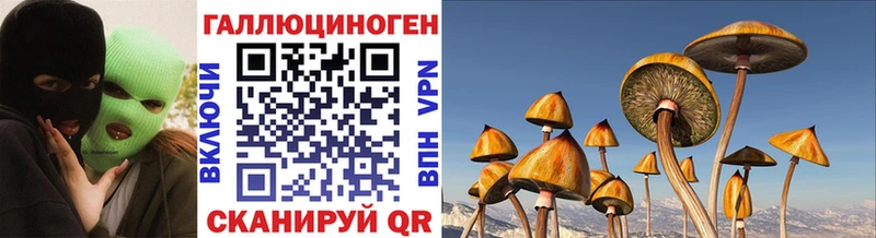 Галлюциногенные грибы GOLDEN TEACHER  kraken вход  Миллерово 