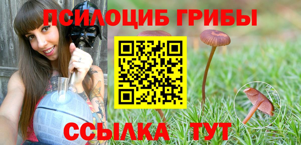 Миллерово  Галлюциногенные грибы прущие грибы  Вход с VPN 